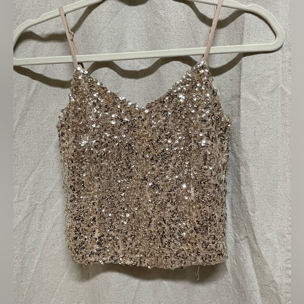 Express sequin crop top